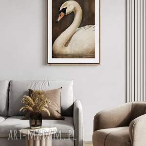 plakat łabędź ptaki natura ptak - format 40x50 cm salonu