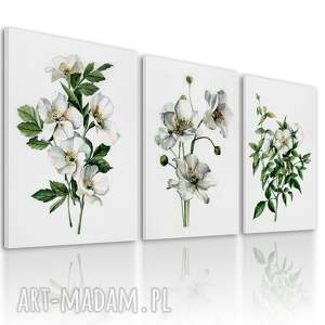 obraz drukowany na płótnie białe kwiaty - tryptyk każda 50x70cm łącznie