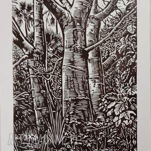 jubilado62 reclik linoryt baobaby grafika, obraz