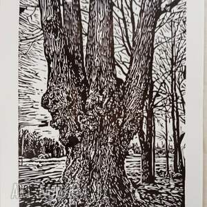 linoryt pomnik przyrody grafika, obrazek drzewo, linocut