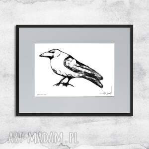 grafika z ramą - nr 114-kruk dekoracja do sypialni ścianę