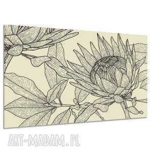 Obraz na płótnie Protea line art 120x80 cm - beżowy