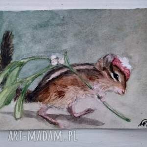 wiewiórka, bajkowa ilustracja, akwarela