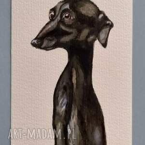 pies, chart, akwarela