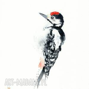 oryginalna akwarela dzięcioł, ptaki natura, prezent, dekoracje