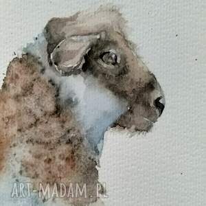 Owca. Akwarela, styl rustykalny, skandynawski