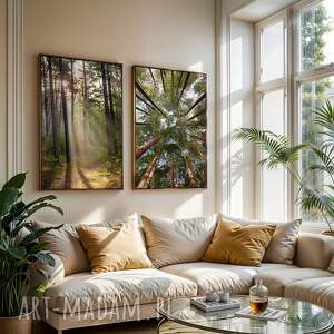 2cz 50x70 cm Las (set210) zestaw plakatów