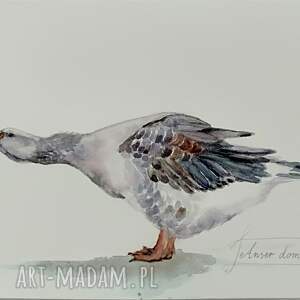 gęś, akwarela, ptactwo domowe, styl rustykalny