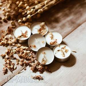 sojowe podgrzewacze tealighty o wiosennym zapachu petitgrain i ylang