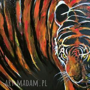 tiger, tiger burning bright, obraz tygrys, zwierzęta obraz, kot obrazy