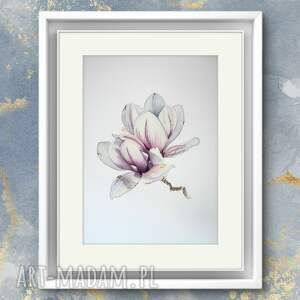 akwarela A4 magnolia kwiat białe na białym, botanika