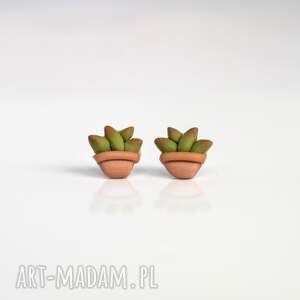 mini kolczyki sukulenty - elegancja w doniczce, stal chirurgiczna