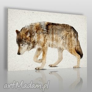 obraz na płótnie - wilk - 120x80 cm (14201) - Obrazy
