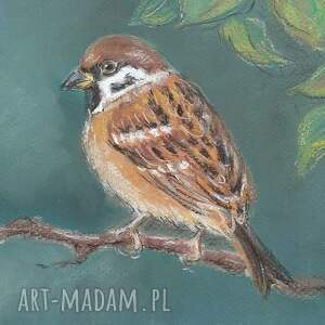 suche, wróbel obraz, wróbelek pastela, ptaki obrazy