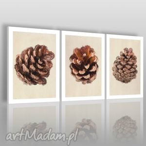 obraz na płótnie - szyszki jesień - 3x50x70 - VAKU DSGN dom obrazy