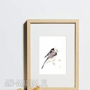 Oryginalna Raniuszek, dekoracje ścienne, akwarela, ptaki