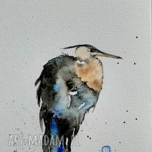 czapla akwarela, ptaki