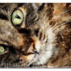 aleobrazy obraz xxl kot 2 - 120x70cm design na płótnie kotek zwierzęta