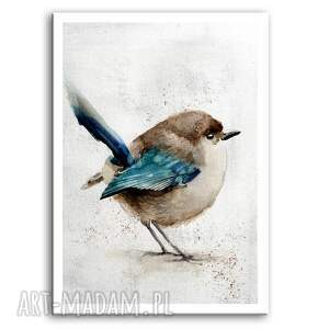 obraz drukowany na płótnie akwarelowy ptaszek - 40x60cm 02639 bluebird obaraz