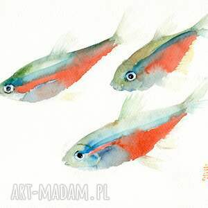 oryginalna akwarela ryby, obraz dekoracje do domu natura, mieszkanie