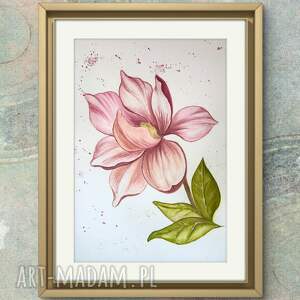 yunona kucherevska akwarela A4 magnolia różowa, kwiat blyskotki