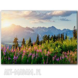 obraz na płótnie - 100x70 cm tatry 1 0724 polski pejzaż