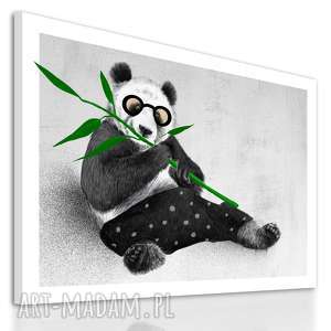 obraz na płótnie - 80x60cm panda wysyłka w 24h 02158