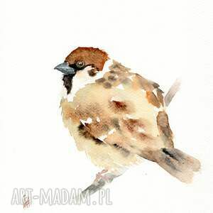 oryginalna akwarela mazurek, prezenty obrazy, dekoracje ptaki wróble