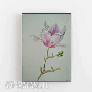 magnolia - akwarela formatu 24/32 cm, farba kwiaty, papier kredki