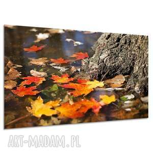Jesienny obraz na płótnie 120x80 cm - kolorowy las