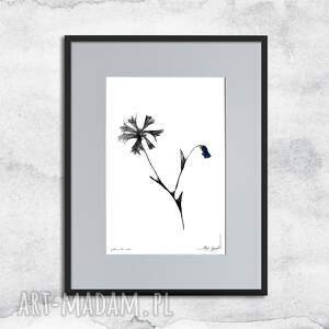 Prezent Grafika nr 126-chabry, dekoracja - kwiatami