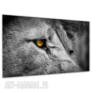 Obraz na płótnie z lwem 120x80 cm - nowoczesna dekoracja