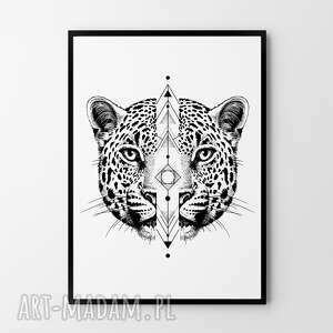plakat obraz gepard 50x70 cm B2, kot, tygrys lew, puma, centki