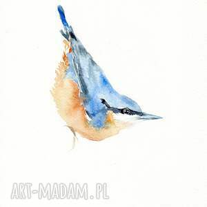 Prezent Oryginalna akwarela. Kowalik, ptaki, prezenty