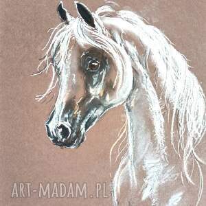 koń arabski - rysunek, pastele obraz konia obrazy, pastela