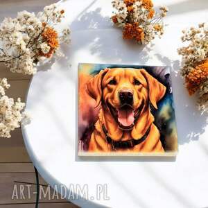 ceramiczny magnes - labrador retriever lodówkę z psem