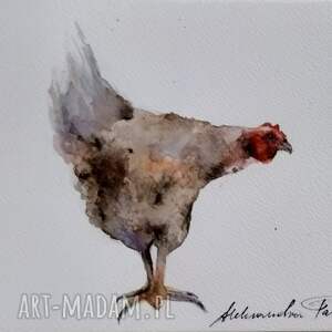 kura. akwarela - Dom obrazy