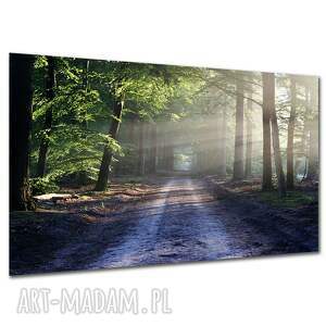 Obraz na płótnie 120x80 cm - leśna ścieżka we mgle