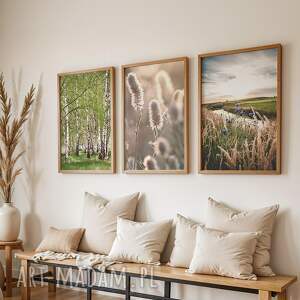 raspberryem zestaw plakatów 40x50 cm, natura, brzozy, chabry, trawy set216