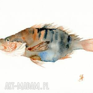 oryginalna akwarela ryba, ryby, dekoracje do domu prezent, natura