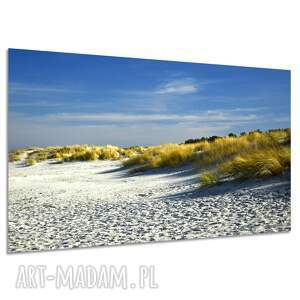 Obraz na płótnie Bałtyk - morze i wydmy 120x80 cm