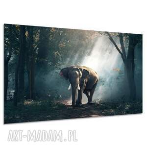 Obraz na płótnie do salonu - słoń we mgle i dżungla 120x80 cm