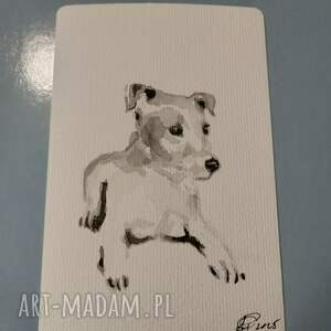 Jack Russell terrier, pies, akwarela, grafika
