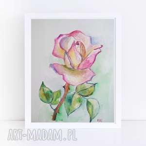 róża - akwarela formatu 18/24 cm