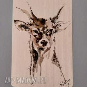 jeleń grafika, akwarela