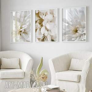 zestaw plakatów 30x40 cm białe kwiaty set218 tryptyk, plakaty z kwiatami