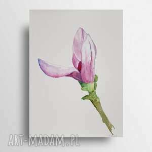 magnolia iv - akwarela formatu a4, akwarela, kwiaty, magnolia