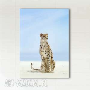 obraz - gepard - wydruk na płótnie
