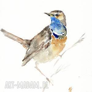 Prezent Oryginalna akwarela. Podróżniczek, ptaki