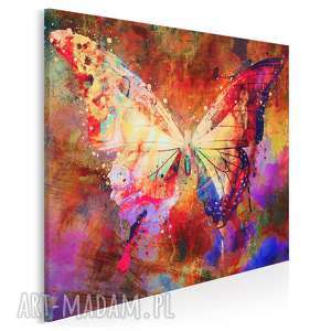 obraz na płótnie - motyl skrzydła kolorowy w kwadracie 80x80 cm 70602